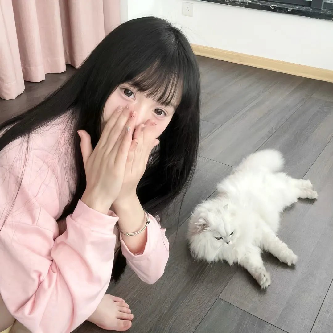 铁汉艳姬