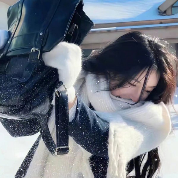 泼妇碧安卡
